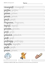 DSS_2S_Bu_gr_Nr_01.pdf